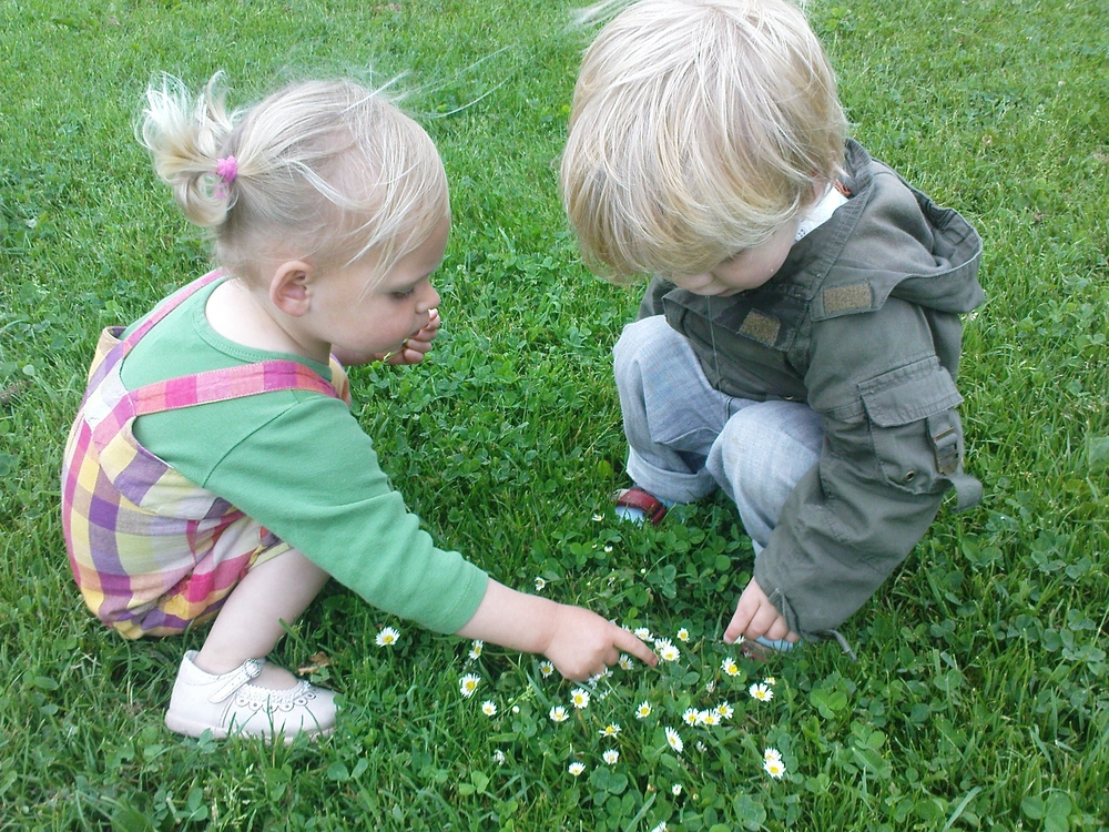 Kinderopvang Poppejans Groningen- madeliefjes